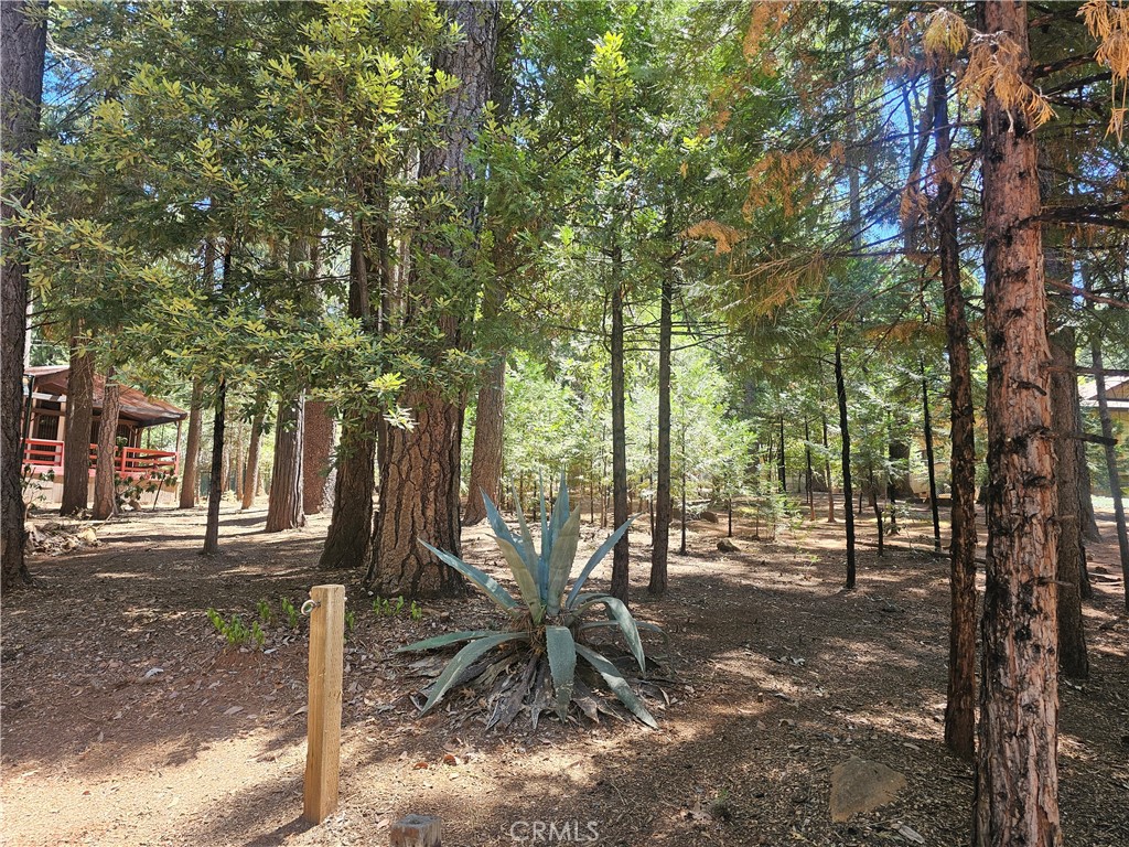 https://media.crmls.org/medias/8e65d1e9-0fb1-4dad-8c6e-2d0ce80a85b4.jpg?preset=X-Large
