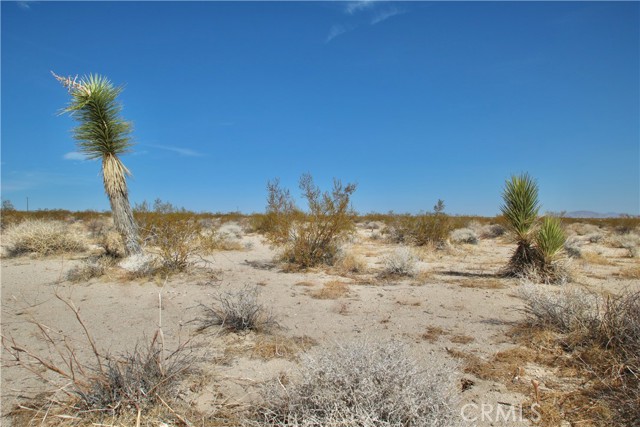 Detail Gallery Image 3 of 7 For 0 Moonlight Mesa Ave, Joshua Tree,  CA 92252 - – Beds | – Baths