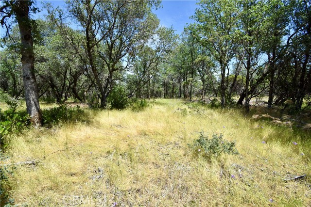 0 Mackey Court, Oroville CA: https://media.crmls.org/medias/8e6fa85d-4c4d-4c6a-983d-b521da985f53.jpg