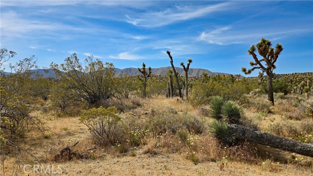 Detail Gallery Image 30 of 49 For 0 103rd St East Vicinity W14, –,  CA 93543 - – Beds | – Baths