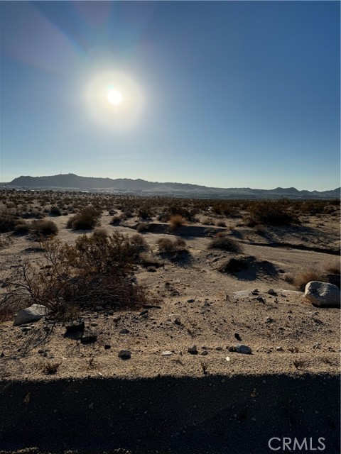 Joshua Tree, CA 92252