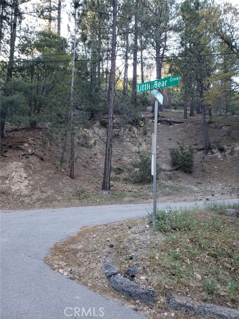 Detail Gallery Image 4 of 7 For 29531 Little Bear Creek Rd, Cedar Glen,  CA 92321 - – Beds | – Baths