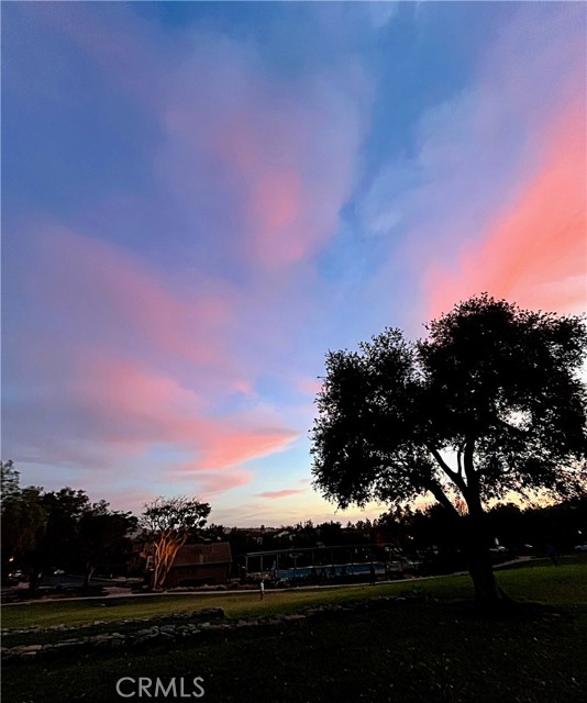 15530 New Park Terrace, San Diego CA: https://media.crmls.org/medias/8e79fdac-90b7-4ffc-861a-a7e43ccf2153.jpg