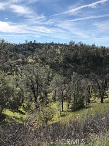 3359 Old Highway, Catheys Valley, California 95306, ,Land,For Sale,3359 Old Highway,CRMC23183078