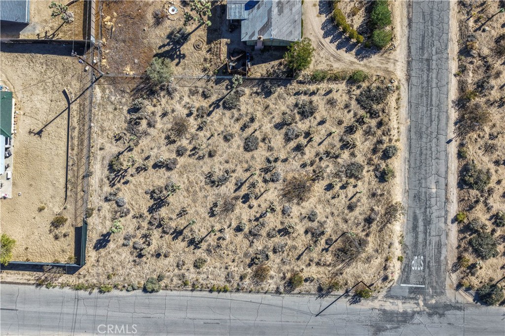 MLS #JT25246779 image #1