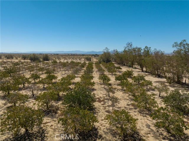 42797 Navajo, Newberry Springs, California 92365, ,Land,For Sale,42797 Navajo,CRHD23161688