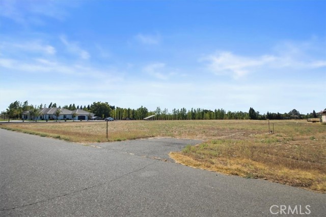 6690 County Road 21, Orland, California 95963, ,Land,For Sale,6690 County Road 21,CRSN23109931