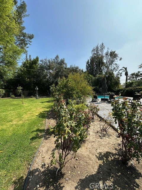 Rose garden with pool to the left