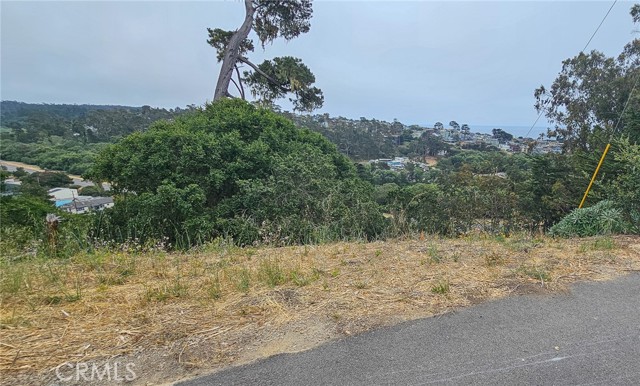 0 Croyden Lane, Cambria CA: https://media.crmls.org/medias/8e89cb7c-9ec6-492c-8f57-6237b14df7e9.jpg