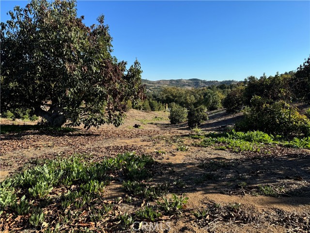 Detail Gallery Image 56 of 63 For 23192 De Anza Rd, Temecula,  CA 92590 - 4 Beds | 3 Baths