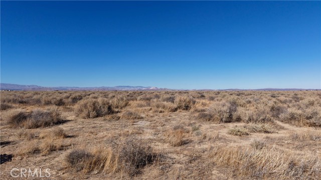 Front Image Thumbnail for CRND26068197