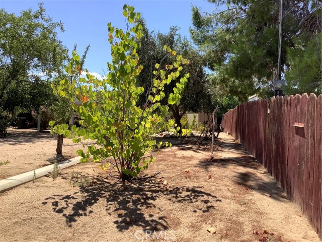 Detail Gallery Image 59 of 68 For 19242 Monterey St, Hesperia,  CA 92345 - 3 Beds | 2 Baths