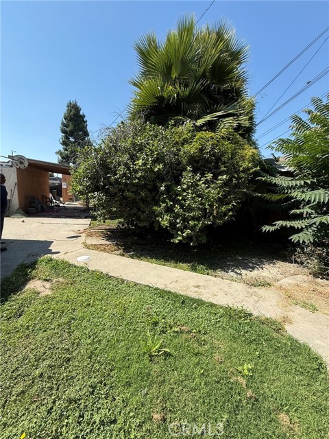 1229 E 89th Street, Los Angeles CA: https://media.crmls.org/medias/8e945e62-c163-4ee2-810a-81fa7926c1df.jpg