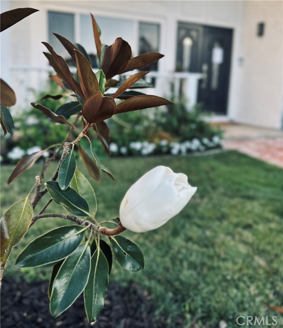 23772 Singapore Street, Mission Viejo CA: https://media.crmls.org/medias/8e9b18de-0183-42bd-92ff-6859a44252cf.jpg