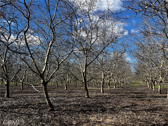 Detail Gallery Image 10 of 15 For 3900 Stephens Rd, Corning,  CA 96021 - 2 Beds | 1 Baths