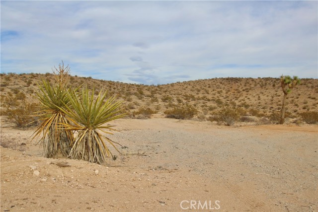 Detail Gallery Image 13 of 17 For 3025 Flamingo Ave, Joshua Tree,  CA 92252 - – Beds | – Baths