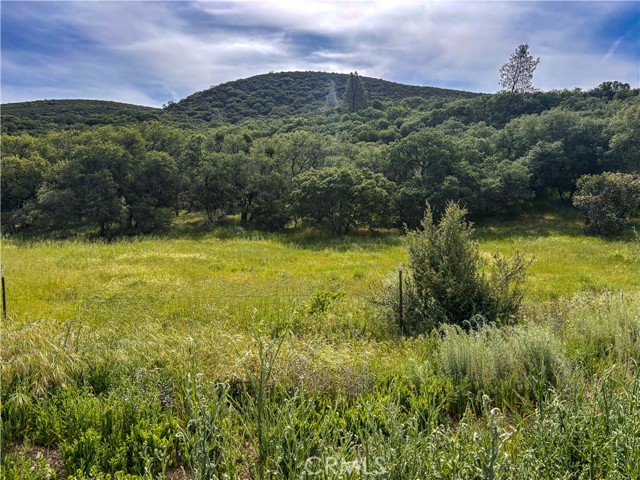 Detail Gallery Image 10 of 12 For 160 Ne Lockwood San Ardo Rd, Lockwood,  CA 93932 - – Beds | – Baths