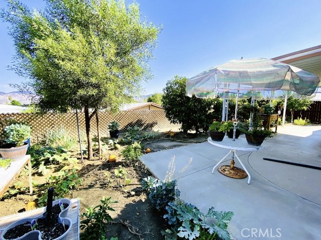 Detail Gallery Image 9 of 29 For 43766 Pioneer Ave, Hemet,  CA 92544 - 2 Beds | 2 Baths