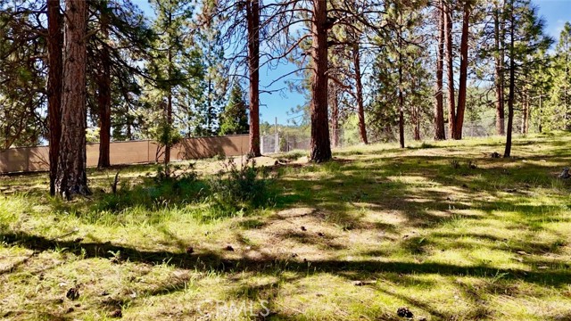 Image 31 of 54 For 0 S Lang Way