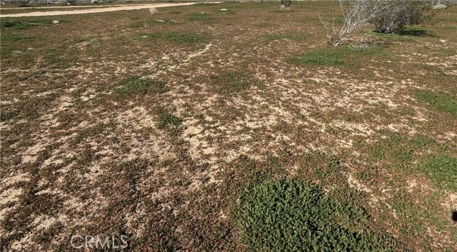 Front Image Thumbnail for CRHD26011895