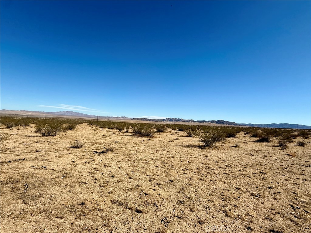 MLS #JT25208342 image #11