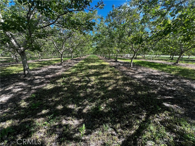 4180 COUNTY 203 Road, Orland CA: https://media.crmls.org/medias/8ebf5bf5-1e5e-4f6f-b308-457f5838d04a.jpg