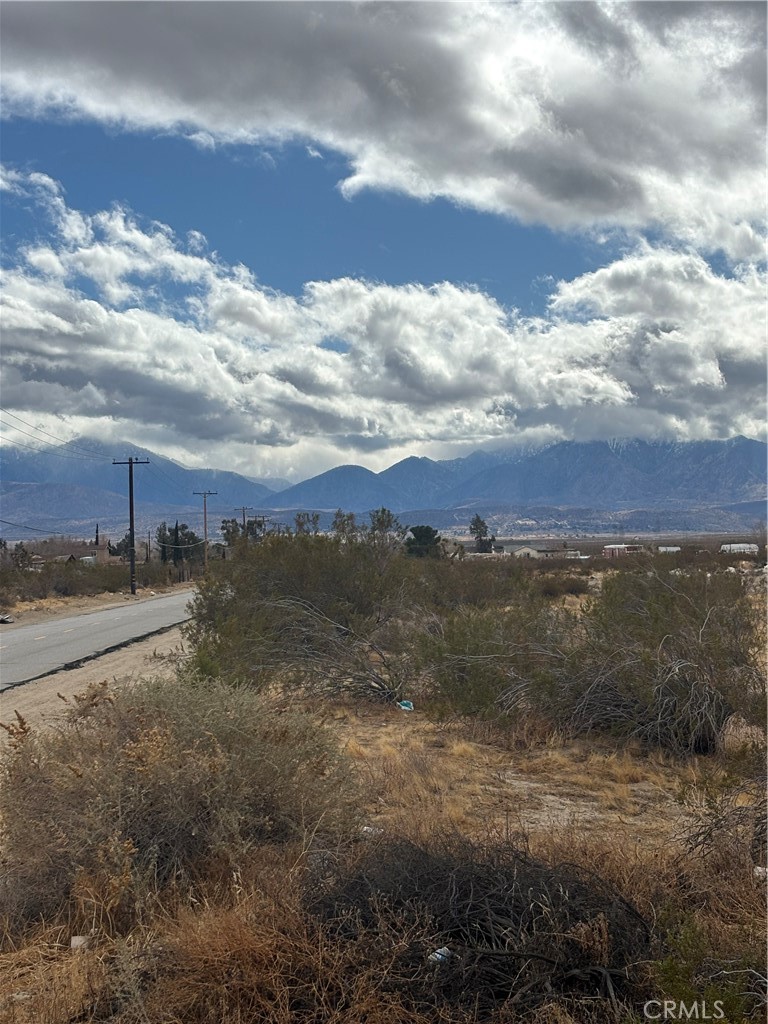 MLS #SR25028109 img 4