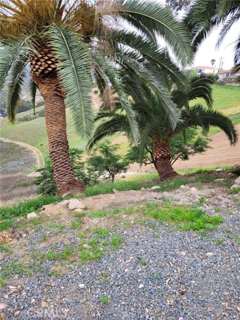 29400 Nichols Street, Lake Elsinore CA: https://media.crmls.org/medias/8ec1c638-7a93-4dc1-8ff8-36b0d1833933.jpg