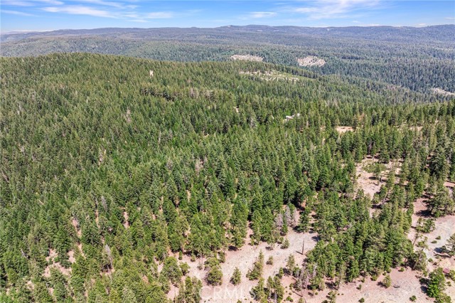 18727 Skyway, Stirling City CA: https://media.crmls.org/medias/8ec3911a-2c27-4798-8322-d7ffda9f3945.jpg