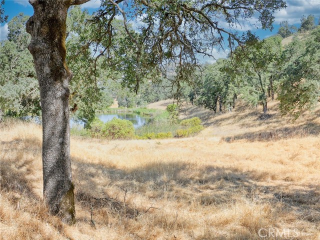 Detail Gallery Image 63 of 65 For 16864 Hofacker Ln, Lower Lake,  CA 95457 - 3 Beds | 2 Baths