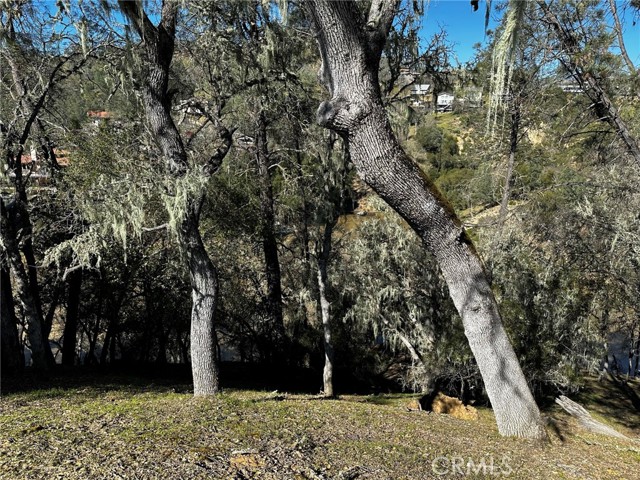 Detail Gallery Image 3 of 14 For 8209 Woody Point Ln, Bradley,  CA 93426 - – Beds | – Baths