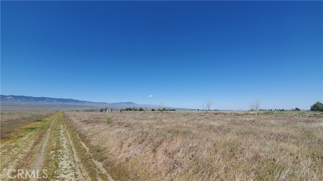 Front Image Thumbnail for CRSR25250845