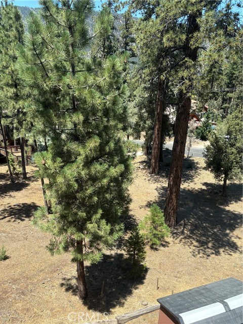 2041 Symonds Drive, Pine Mountain Club, California 93222, 3 Bedrooms Bedrooms, ,2 BathroomsBathrooms,Single Family Residence,For Sale,Symonds,OC25045356