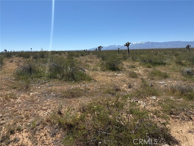 Front Image Thumbnail for CRDW26073712