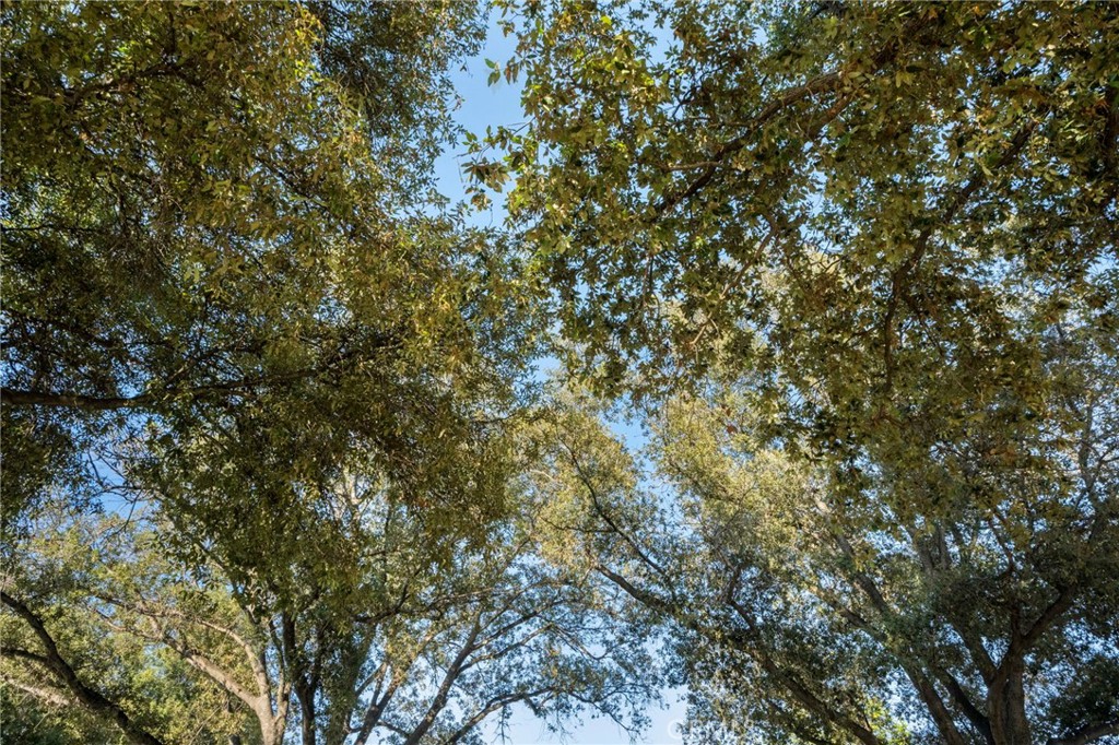 https://media.crmls.org/medias/8ed79c9f-c40f-4410-a739-d428c23181c1.jpg?preset=X-Large