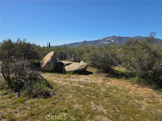 Front Image Thumbnail for CRSW26058089