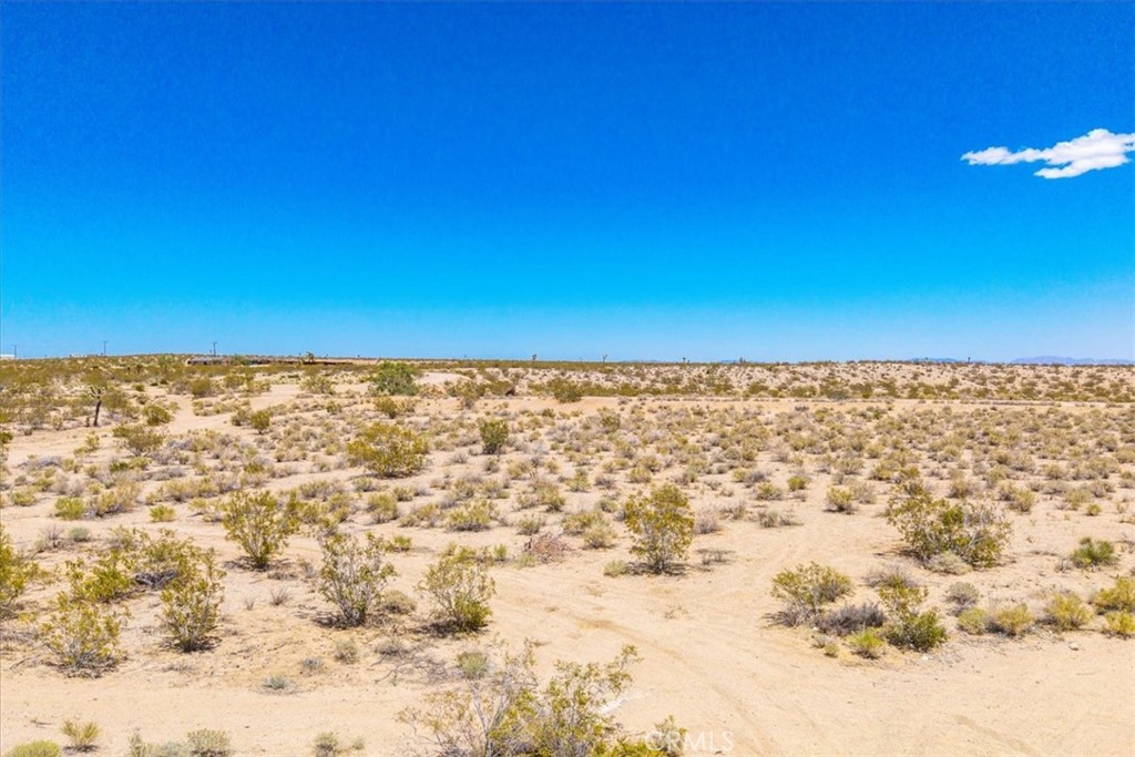 MLS #JT25107809 image #15