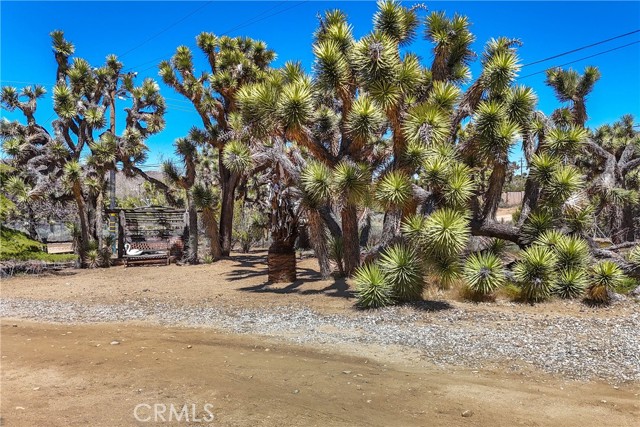 Detail Gallery Image 33 of 58 For 55839 Highland Trl, Yucca Valley,  CA 92284 - 2 Beds | 2 Baths