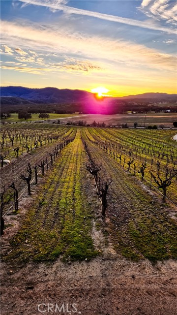 7110 Drake Road, Paso Robles CA: https://media.crmls.org/medias/8f00c3f9-564d-45ea-b463-cf25a0cf8f80.jpg