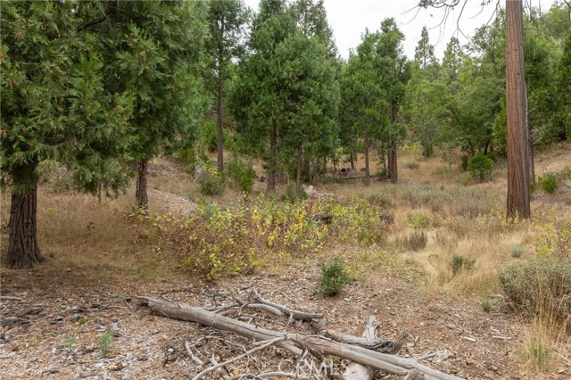 Detail Gallery Image 7 of 55 For 26 Timberview, North Fork,  CA 93643 - – Beds | – Baths