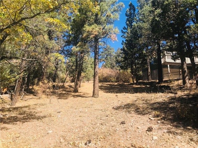 0 Sheephorn Rd, Big Bear City, California 92315, ,Land,For Sale,0 Sheephorn Rd,CRIG21227250