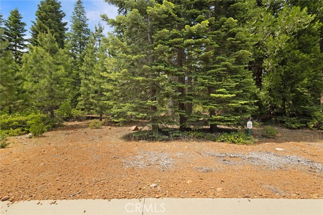 Detail Gallery Image 7 of 31 For 208 Blue Fox Dr, Lake Almanor,  CA 96137 - – Beds | – Baths