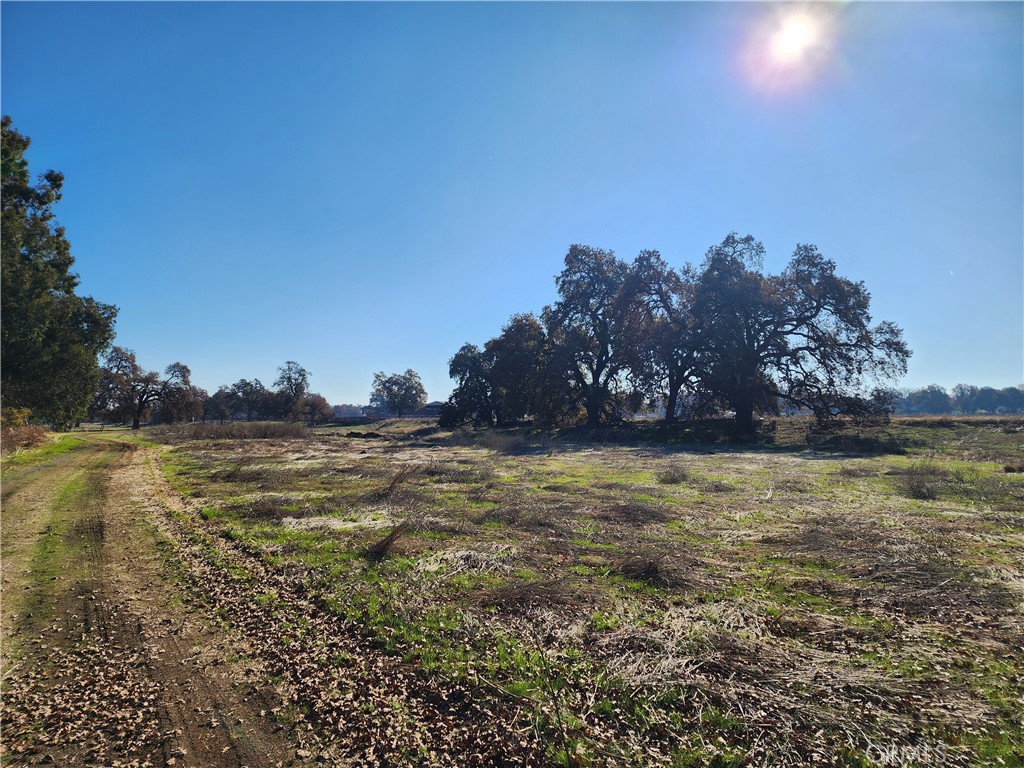 MLS #SN25262438 image #13