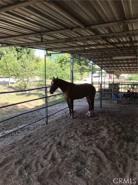 This could be your horses' happy home!