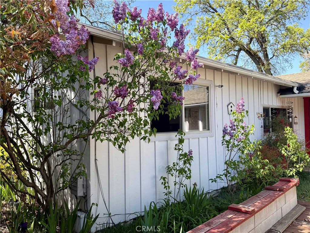https://media.crmls.org/medias/8f1ca0a1-0d4d-4401-b840-1a5a3a5739c5.jpg?preset=X-Large