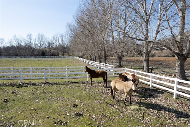 Image 10 of 64 For 36039 Cranmore Ln.