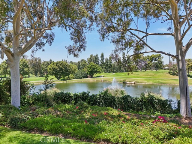 11525 Sunnybrook Lane, Whittier CA: https://media.crmls.org/medias/8f237aa3-67a2-4b10-a70a-db969db6cf86.jpg