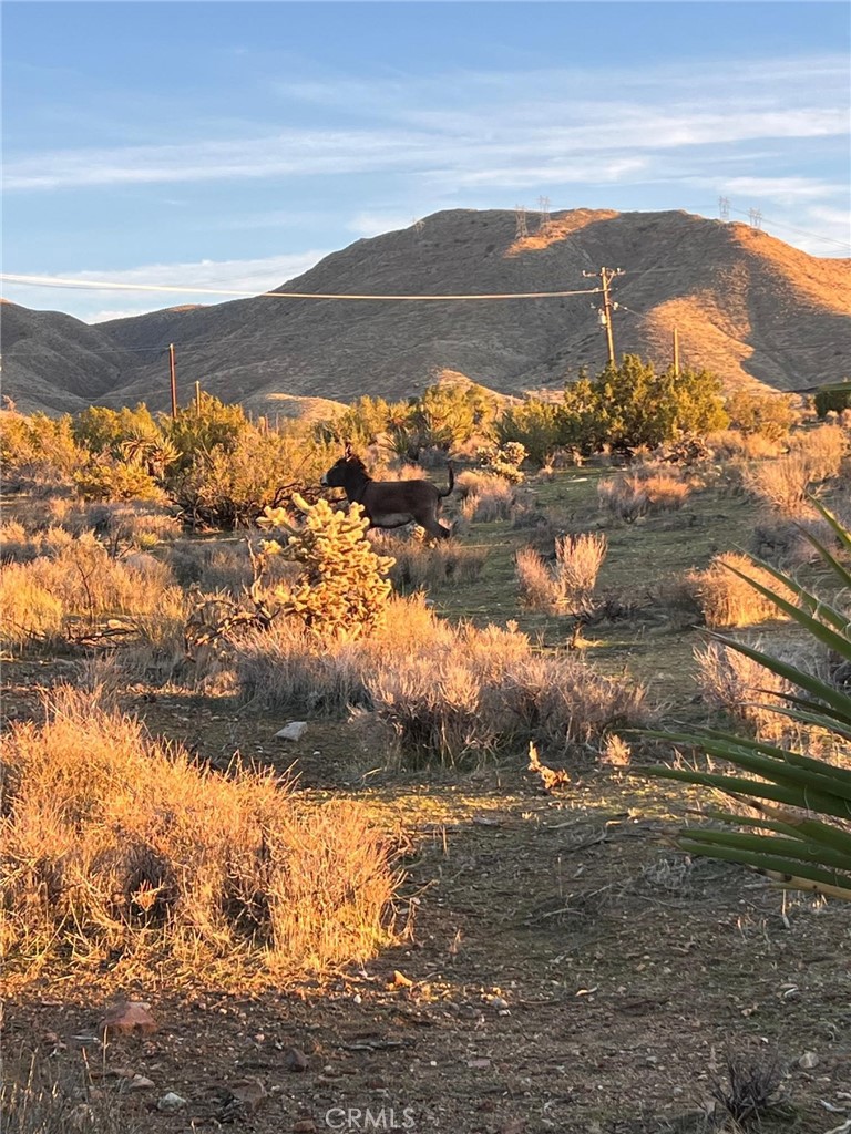 MLS #HD25271382 image #23