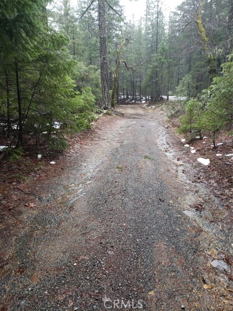 0 Burr Valley Road, Bridgeville, CA, 95526 0 Burr Valley Road, Bridgeville, CA, 95526