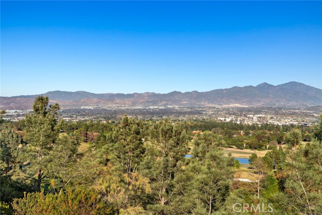 Detail Gallery Image 29 of 47 For 38 Verdin Ln, Aliso Viejo,  CA 92656 - 2 Beds | 2/1 Baths